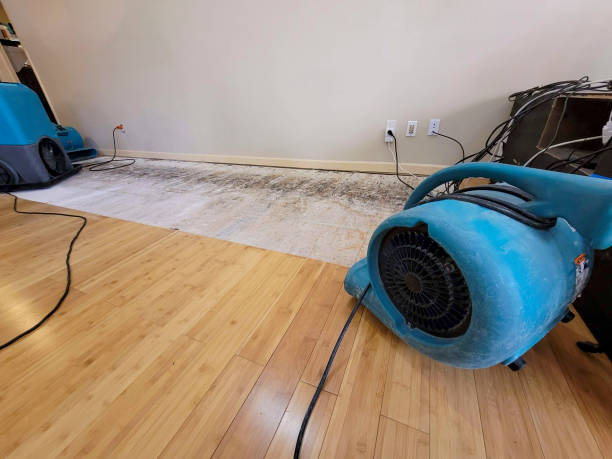 Reliable Basement Flood Cleanup contractor in Jamestown, SC by Hirex Water Damage