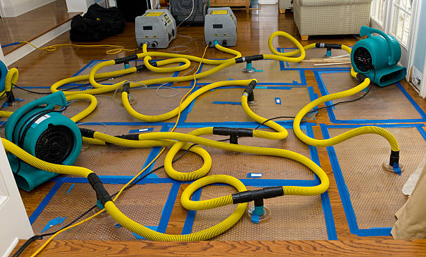 Professional Basement Flood Cleanup technician working in Jamestown, SC